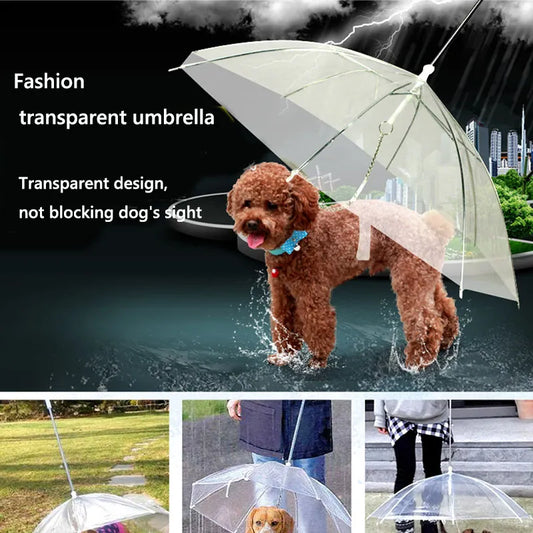 Pet Umbrellas hyena artifact Teddy bear dog pet Rain Gear lovely pet supplies waterproof cat dog umbrella sale