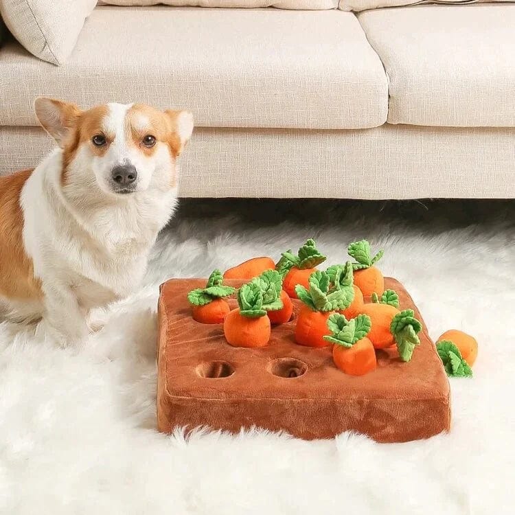 Interactive Carrot Plush Toy